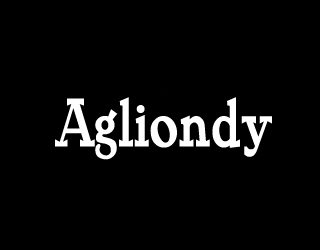 Agliondy商标转让,商标出售,商标交易,商标买卖,中国商标网