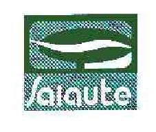 salaute商标转让,商标出售,商标交易,商标买卖,中国商标网