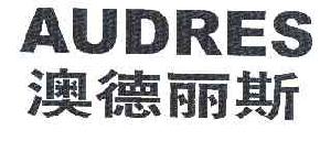 澳德丽斯AUDRES商标转让,商标出售,商标交易,商标买卖,中国商标网