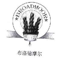 布洛德摩尔BROADMOOR商标转让,商标出售,商标交易,商标买卖,中国商标网