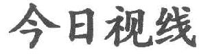 今日视线商标转让,商标出售,商标交易,商标买卖,中国商标网