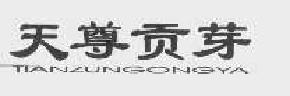 天尊贡芽tianzungongya商标转让,商标出售,商标交易,商标买卖,中国商标网