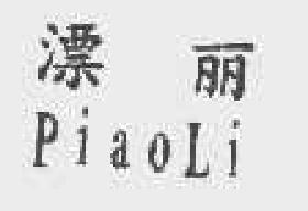 漂丽piaoli商标转让,商标出售,商标交易,商标买卖,中国商标网