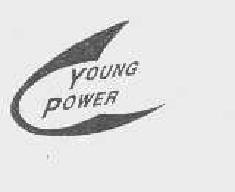 youngpower商标转让,商标出售,商标交易,商标买卖,中国商标网