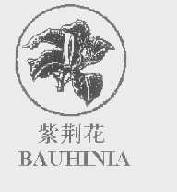 紫荆花bauhinia商标转让,商标出售,商标交易,商标买卖,中国商标网