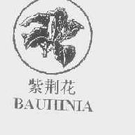 紫荆花bauhina商标转让,商标出售,商标交易,商标买卖,中国商标网
