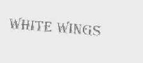 whitewings商标转让,商标出售,商标交易,商标买卖,中国商标网