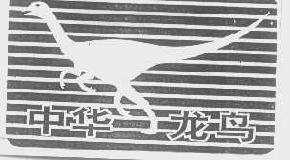 中华龙鸟商标转让,商标出售,商标交易,商标买卖,中国商标网