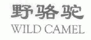 野骆驼wildcamel商标转让,商标出售,商标交易,商标买卖,中国商标网