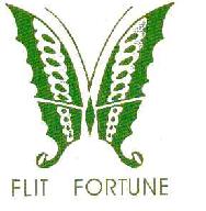 flitfortune商标转让,商标出售,商标交易,商标买卖,中国商标网